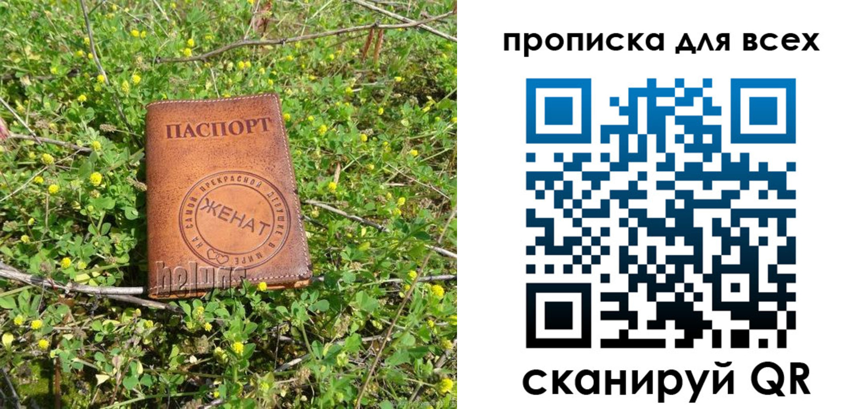 прописка поиск в Михайловске
